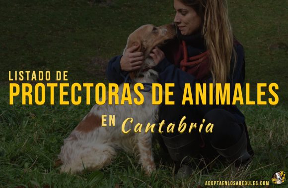 Listado de Protectoras de Animales en Cantabria