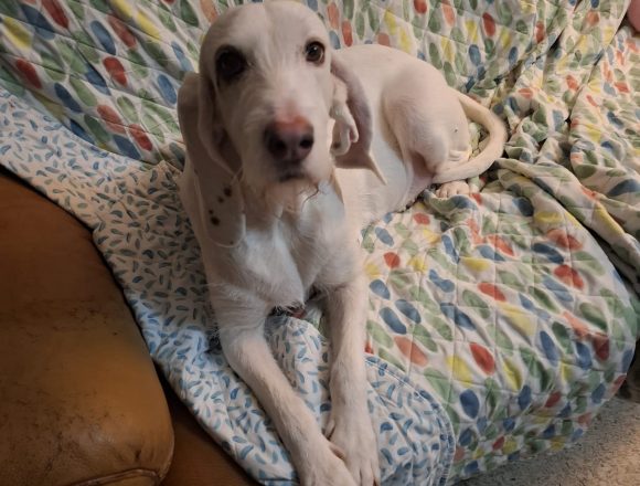 007badbd-bf6b-4060-ad22-e936fd03f18c TUNA