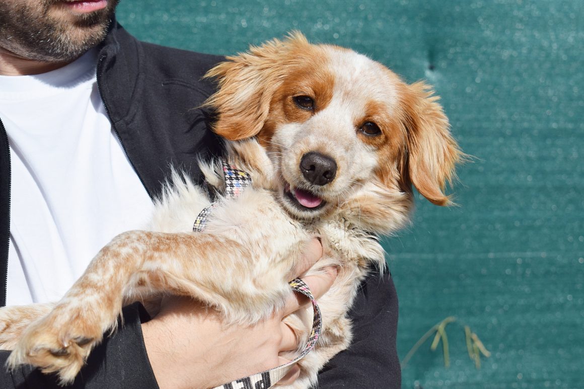LILA (En Proceso de Adopción)