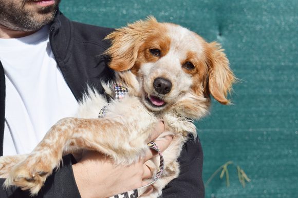 LILA (En Proceso de Adopción)