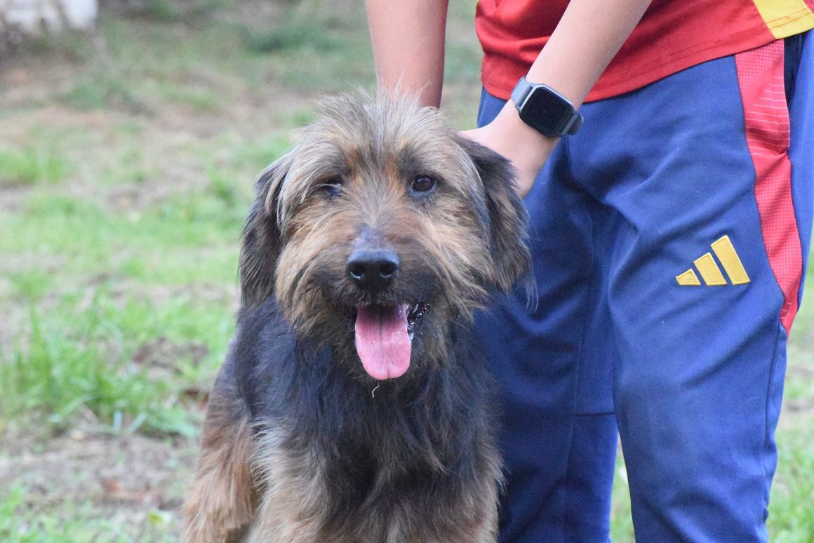 LEO (En Proceso de Adopción)