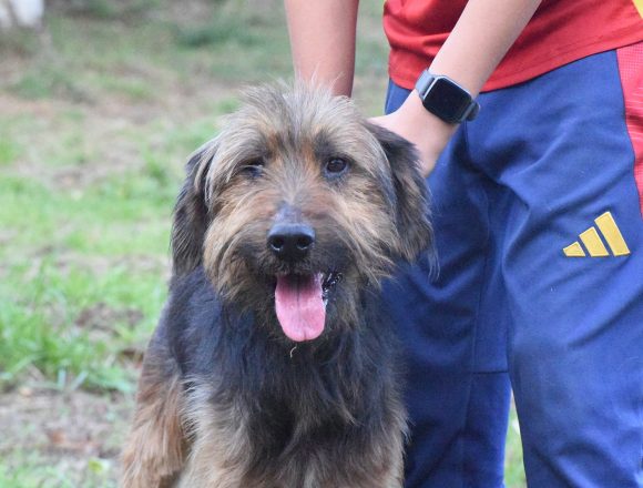 LEO (En Proceso de Adopción)