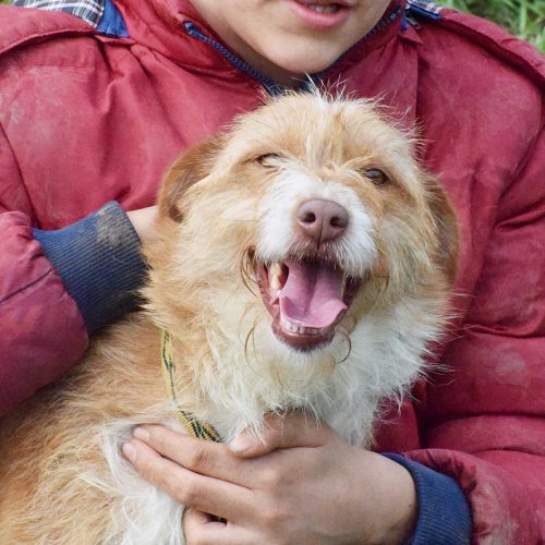 RIO (En Proceso de Adopción)