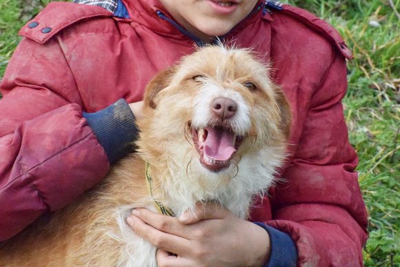 aDSC_6624 RIO (En Proceso de Adopción)