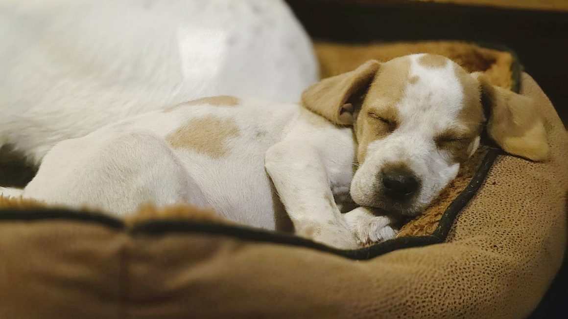 aWhatsApp Image 2026-02-15 at 23.11.14 SENDA