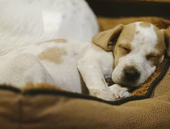 aWhatsApp Image 2026-02-15 at 23.11.14 SENDA