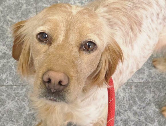 0aeac21174-ff4f-40bd-a862-8cf2c951574c MENDITA