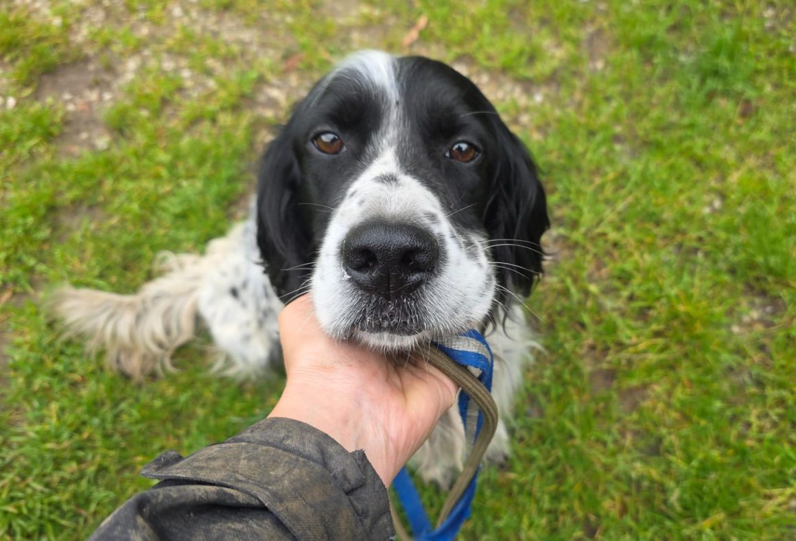 60ce2af8-a7cb-4e10-bca9-d6efe1238c60 RAY