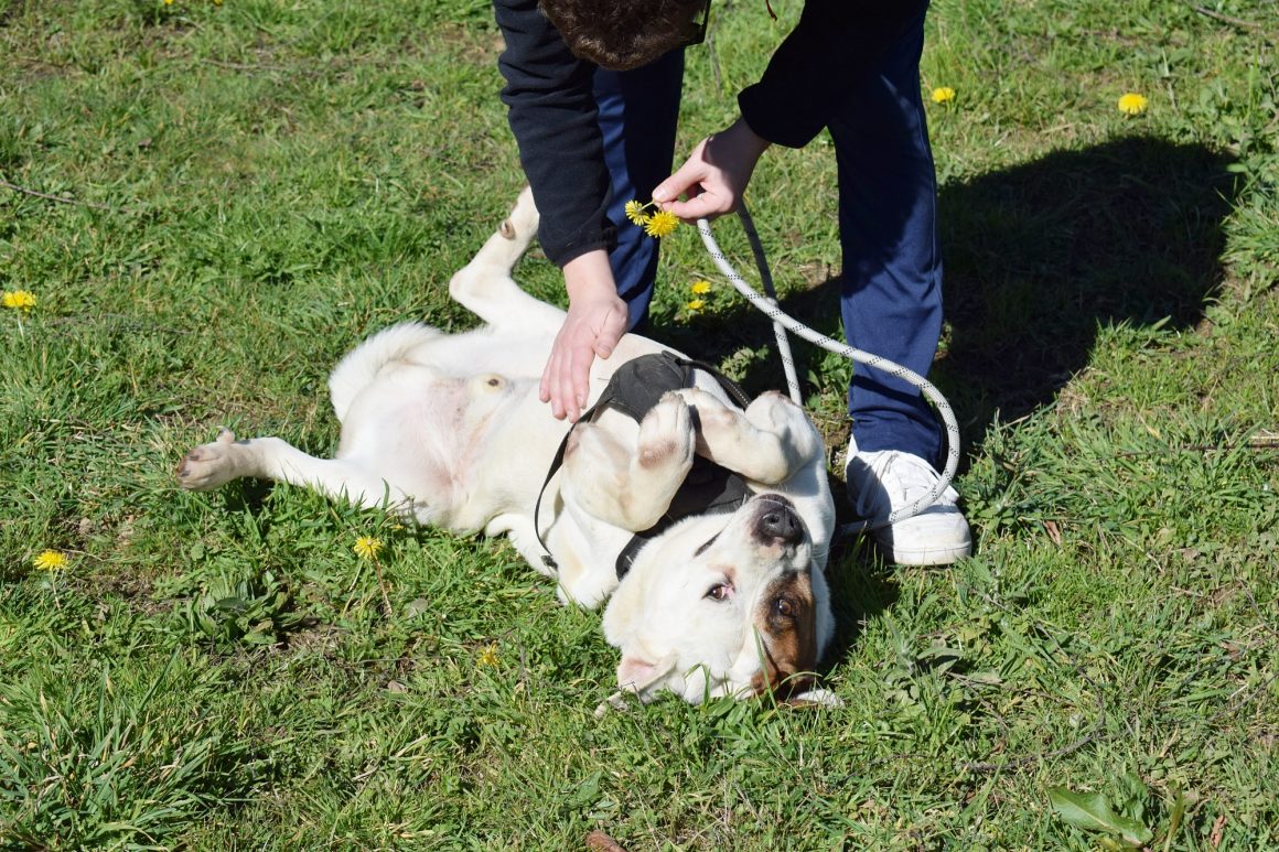 aDSC_0755 PIRATA (Invisible)