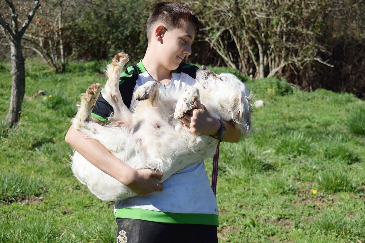 NEIL (En Proceso de Adopción)