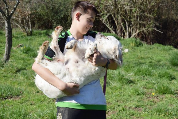 NEIL (En Proceso de Adopción)