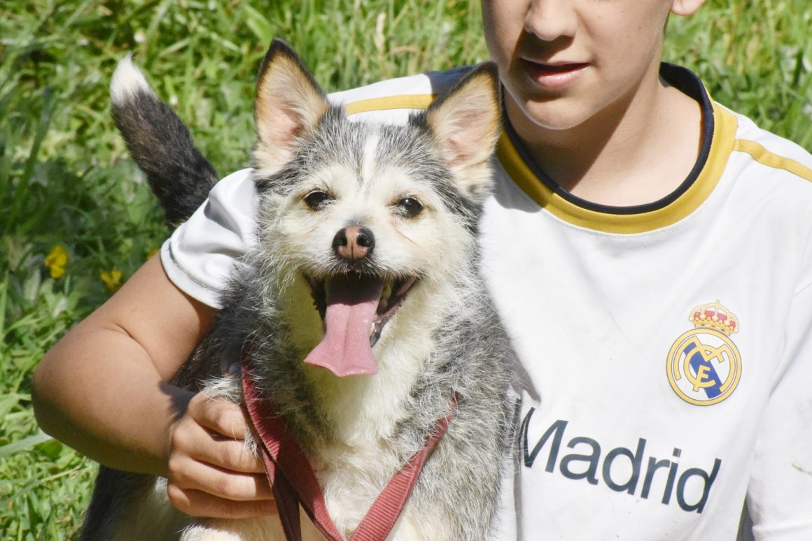 BRUNA (En Proceso de Adopción)