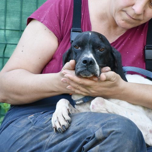 DUNIA (En Proceso de Adopción)