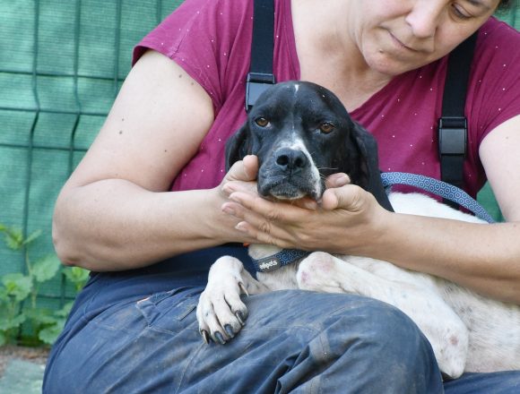 DUNIA (En Proceso de Adopción)