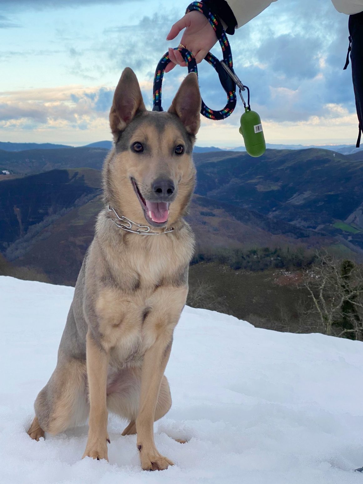 aWhatsApp Image 2026-03-07 at 12.00.00 BIMBA