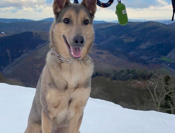 aWhatsApp Image 2026-03-07 at 12.00.00 BIMBA